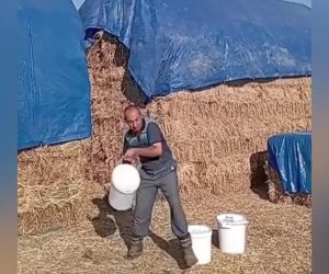 Fermer südünü yerə töküb nazirə səsləndi - video