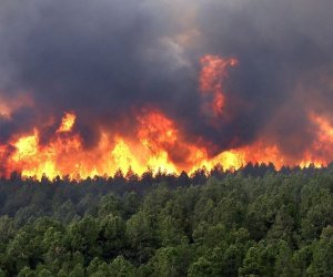 Мощный лесной пожар в популярном курортном городе Турции