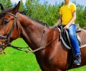 Füzulidə 12 yaşlı uşaq atdan yıxılaraq ölüb