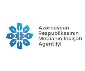 Azərbaycana qarşı dezinformasiya kampaniyası aparılır - MEDİA