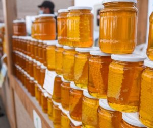 Baku to Host 26th National Beekeeping Fair as Registration Opens Sept 7