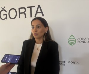 Fermerlərə 29 milyon manat sığorta ödənişi nəzərdə tutulub &ndash; 23,7 milyon manat artıq ödənilib
