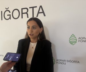 İcbari sığorta tələbi 10 hektardan 7 hektara endirilib