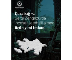 İşğaldan azad edilmiş ərazilərdə incəsənət təhsili üçün elektron müraciət sistemi istifadəyə verilib