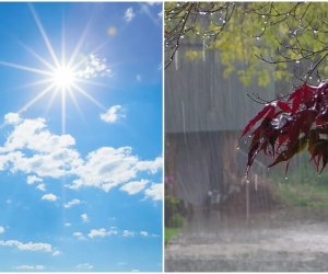Sabah Bakıda 29&deg; isti olacaq, rayonlarda leysan yağacaq