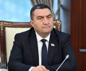 Deputat Azərbaycanda Səhiyyə və Süni İntellekt Mərkəzinin yaradılmasını təklif edib