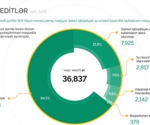 PAŞA Bankın &ldquo;yaşıl&rdquo; kredit portfeli 36,8 milyon manata çatıb