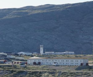 В Дании заявили о &laquo;поражении&raquo; Трампа