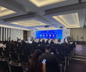 Талех Зиядов призвал согласовать тарифы по Среднему коридору