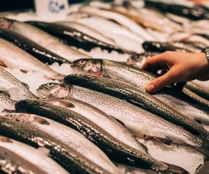 Россия продлила запрет на рыбу и молочку из Армении
