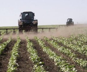 Fermerlərə 4,5 milyon manat zərər dəyib, sığorta ödənişlərinə başlanılacaq