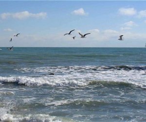 В Каспийском море произошло землетрясение магнитудой 3,3