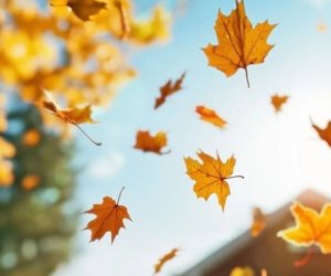 National Hydrometeorological Service issues weather forecast for October 1