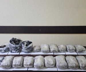 Sentyabrda 593 kiloqramdan çox narkotik dövriyyədən çıxarılıb