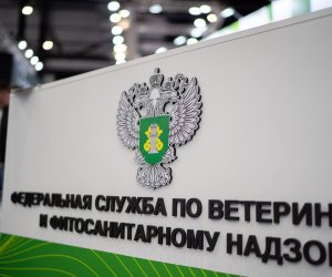 В Перми уничтожили более 230 кг продуктов из Азербайджана и Узбекистана