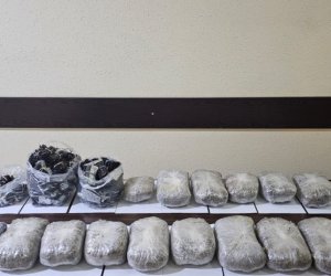 ГПС Азербайджана изъяла почти 600 кг наркотиков за сентябрь
