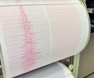 У побережья Индонезии произошло землетрясение магнитудой 5,9