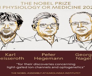 
Tibb üzrə Nobel mükafatı laureatları məlum olub