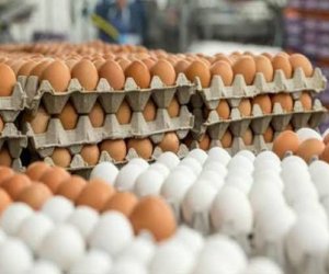 Yumurtanın qiyməti 10 ildir dəyişmir