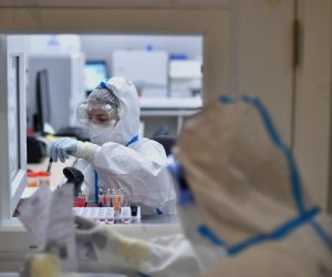 В России пятерых госпитализировали из-за оспы обезьян