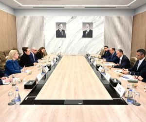 Nazir Rəşad Nəbiyev Karolin Vik ilə görüşüb