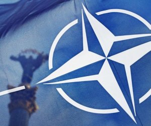 В НАТО предупреждают Зеленского