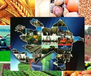 Azərbaycanın regionlarına 2025-ci ildə 10 milyard manatdan çox investisiya yatırılıb