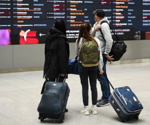 В трех аэропортах Москвы задержано или отменено более 210 рейсов