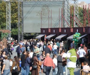 Bakıda Zeytun Festivalının rəsmi açılışı olub
