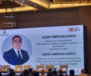 Mikromaliyyənin kredit bazarındakı payı 6 faizdir - Əmiraslanov