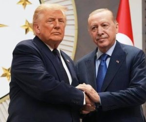 Эрдоган и Трамп обсудили региональные и глобальные вопросы