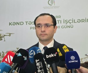 Məcnun Məmmədov: Azad edilmiş ərazilərdə 230 hektar istixana sahəsi yaradılacaq