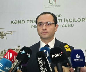 Ərzaqlıq buğda istehsalı 170 min tonu ötüb