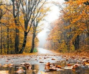 Precipitation Projected to Exceed Norms in Several Regions