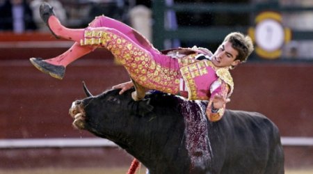 Забег быков в Испании закончился массой пострадавших - ВИДЕО