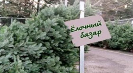 Азербайджанец открыл в России незаконный базар