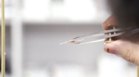 Предметы перемещают звуковые волны -ВИДЕО