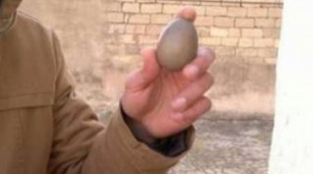 В Баку курица снесла черное яйцо -ВИДЕО