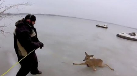 Несколько слов о простой человечности –ВИДЕО