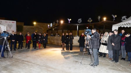 Bakıda “Məhəbbət ağacı” yetişdi - FOTOLAR