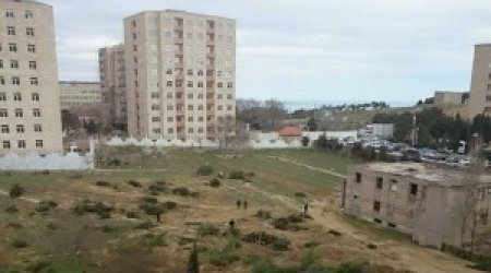 Botanika bağına cavabdeh kimdir? - VİDEO+FOTO