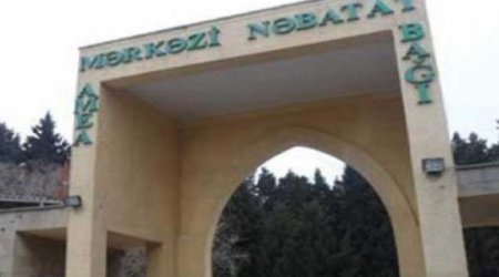 Nəbatat Bağında ağac kəsilməsi faktı ilə əlaqədar cinayət işi açıldı