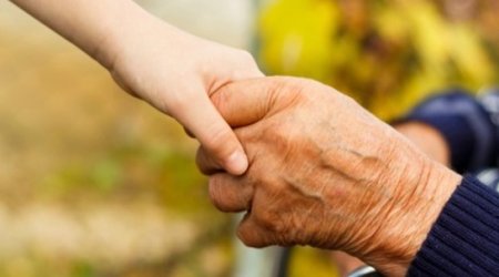 New blood 'recharges old brain'