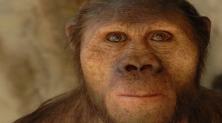 Palaeoartist brings human evolution to life with amazingly realistic sculptures