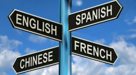 Learning second language 'slows brain ageing'