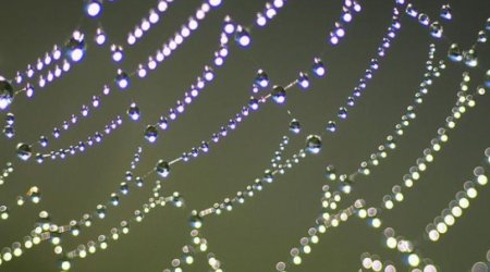 Do you need a social media presence to find a job?