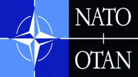 NATO PA-nın prezidenti Azərbaycana gəldi