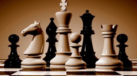 Azerbaijani chess players to compete in 8th International Varna Open tournament