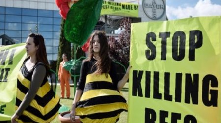 Widespread impacts of neonicotinoids 'impossible to deny'