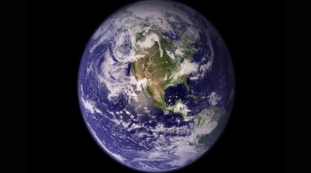 The new superorganism taking over Earth